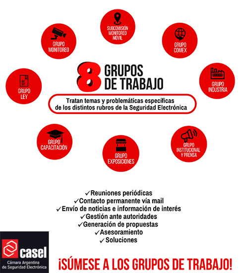 Grupos de trabajo de CASEL